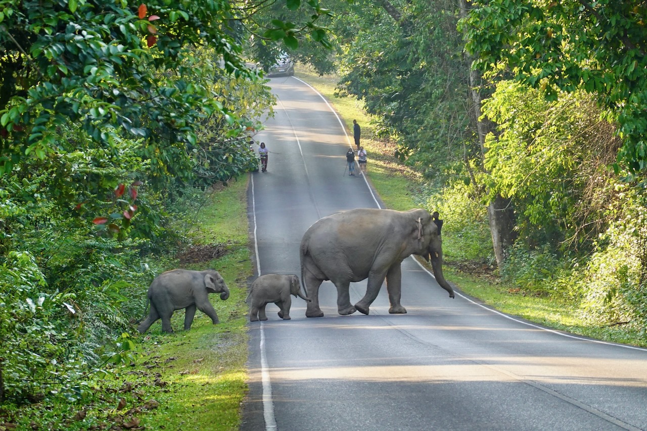 Pak Chong und Khao Yai